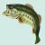 BassFishing con questo clima - last post by Lele_Mark