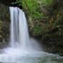 Acquario per il vivo (domande) - last post by jdm65