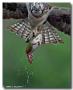 Problemi foto con iPad - last post by gio osprey