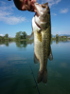 rapala x-rap sverniciato - last post by gp69zx