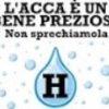 Ecofenotipi e genotipi di luccio in Italia - last post by Ginji