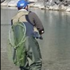 Tecnica per la trota in lago. - last post by berna994