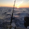 compagni di pesca nel milanese - last post by Bluedeep