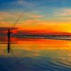 cerco appassionati pescatori torinesi per pescare in Liguria - last post by Marcello6679