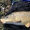 Pesca allo striped bass - last post by peo17